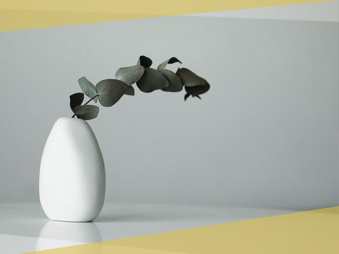 Terra Ceramics Prague Vases Beginner kurz vázy pátek