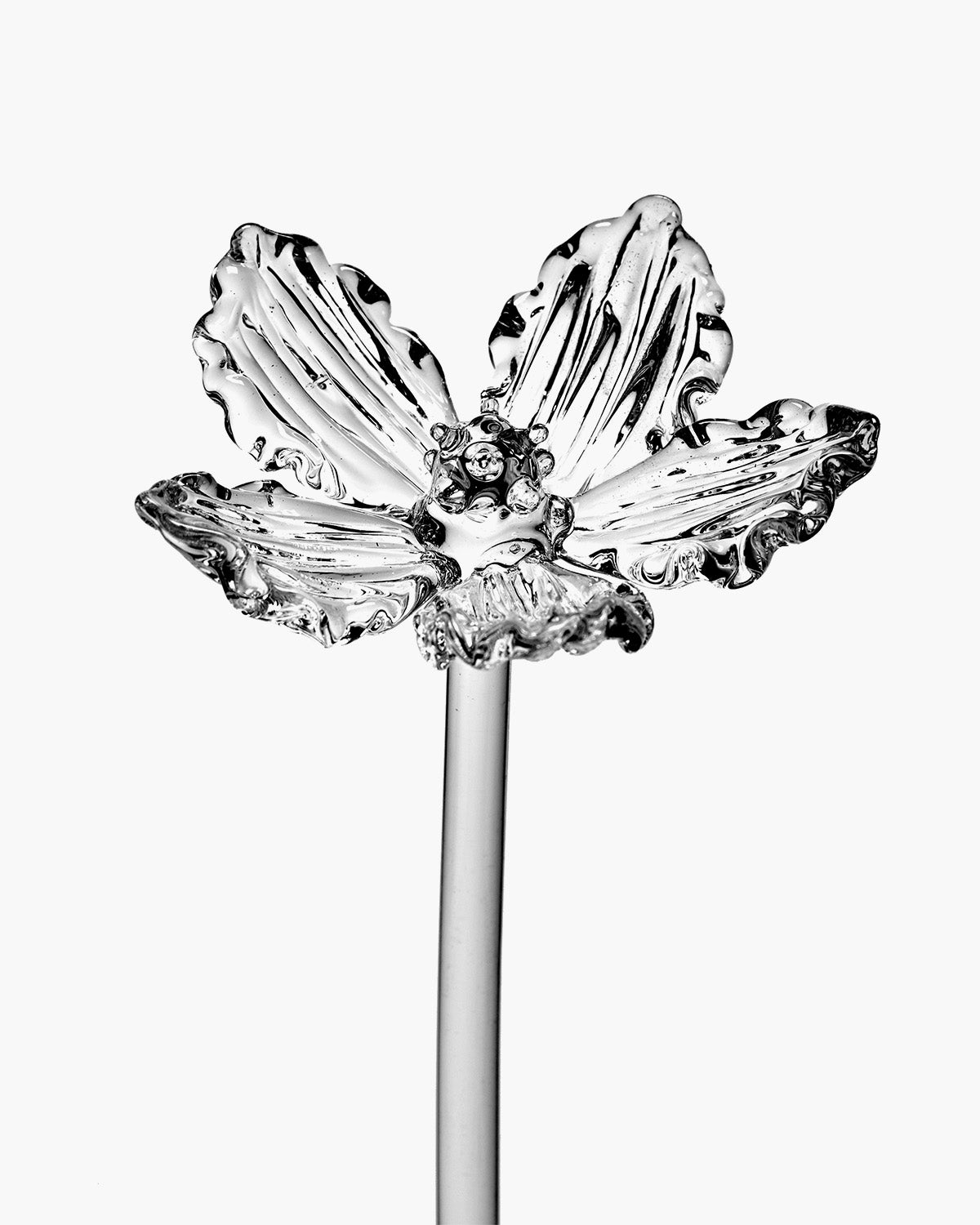Serax Josephine Poppy 02 květina transparent sklo