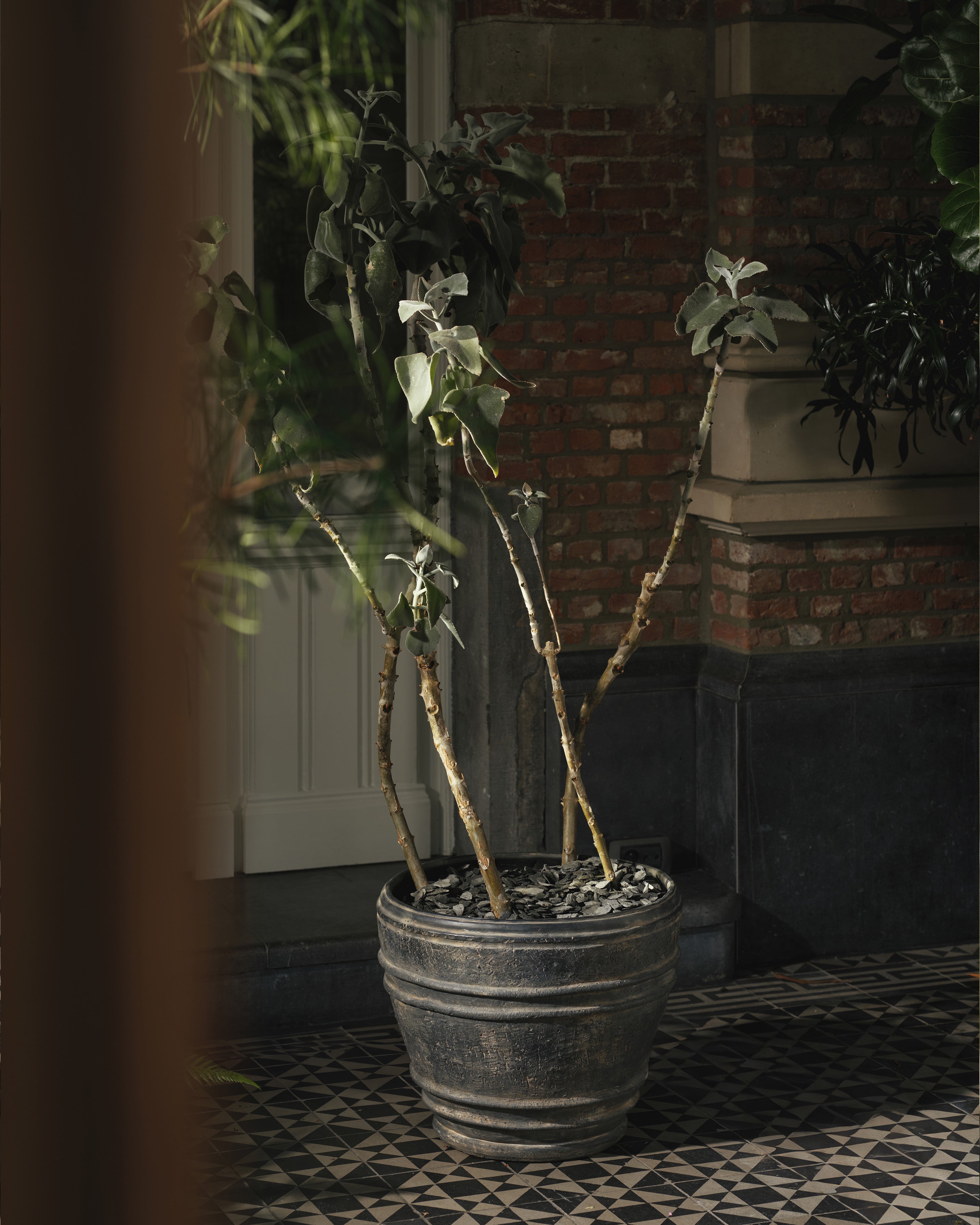 Serax Mesa Planter 01 květináč L černý glazura